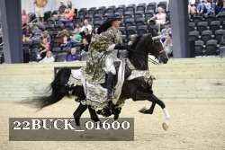 22BUCK_01600 proof