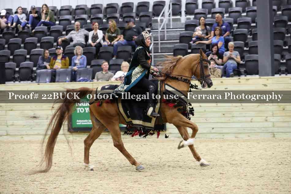 Proof 22BUCK_01601