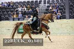22BUCK_01601 proof