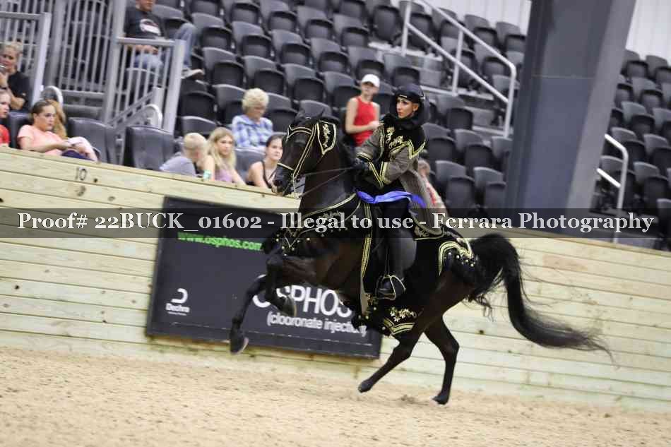 Proof 22BUCK_01602