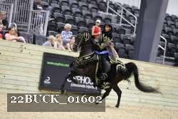 22BUCK_01602 proof