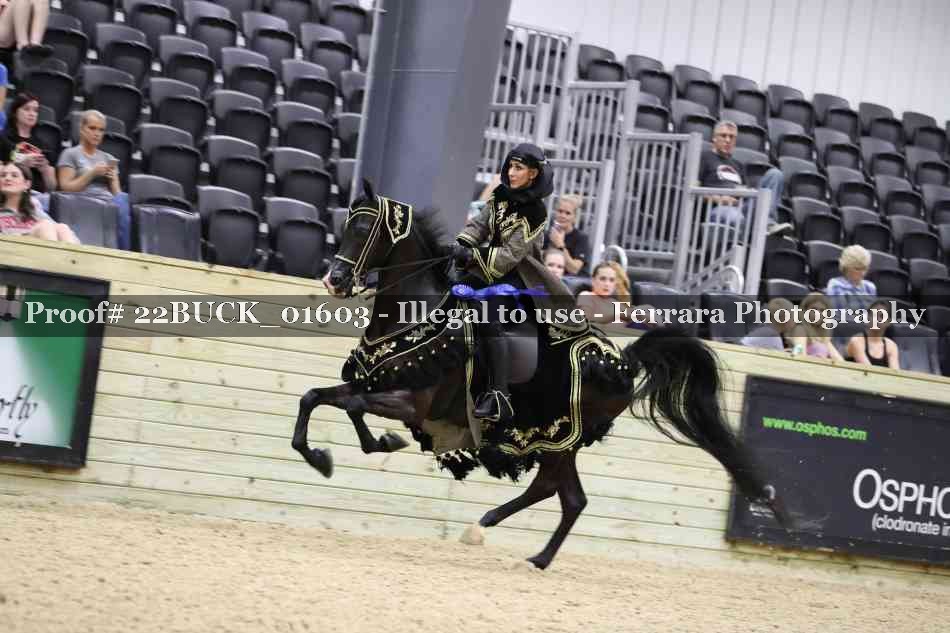 Proof 22BUCK_01603