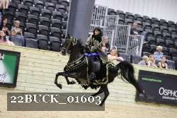 22BUCK_01603 proof