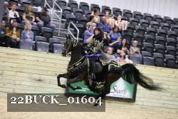 22BUCK_01604 proof