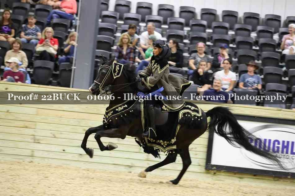 Proof 22BUCK_01606