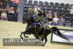 22BUCK_01606 proof