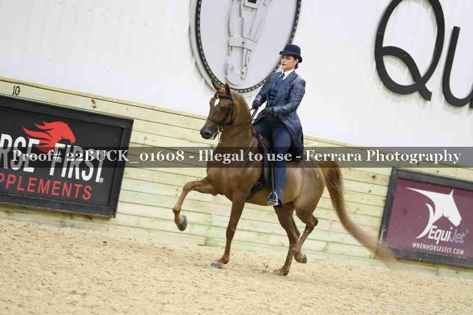 Proof 22BUCK_01608