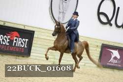 22BUCK_01608 proof