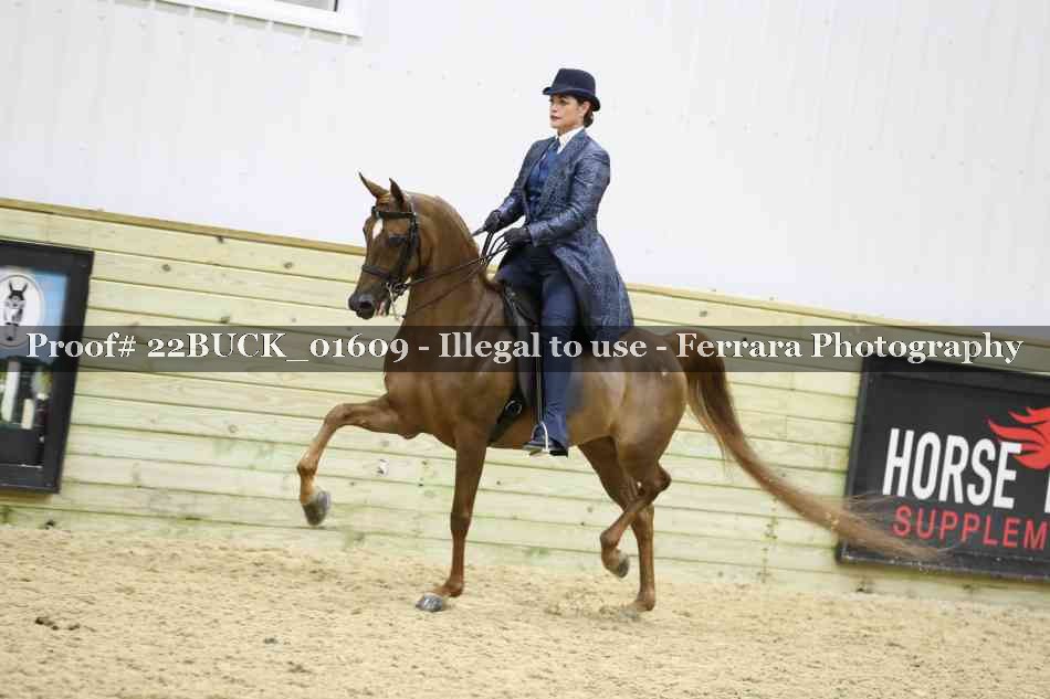 Proof 22BUCK_01609