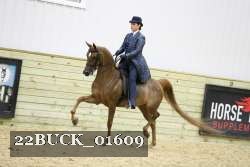 22BUCK_01609 proof