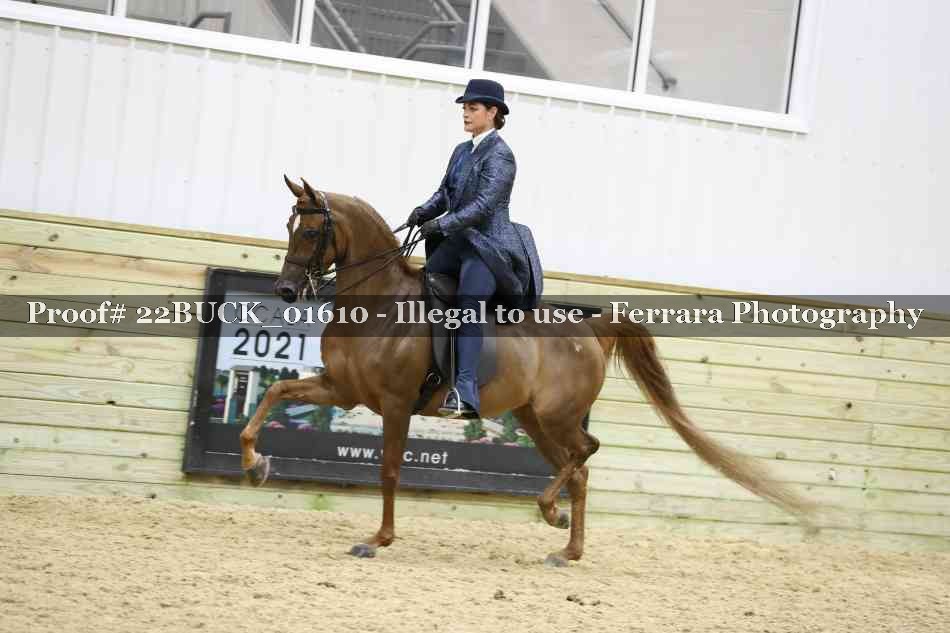 Proof 22BUCK_01610