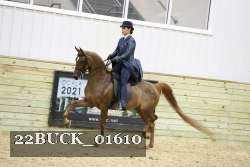 22BUCK_01610 proof