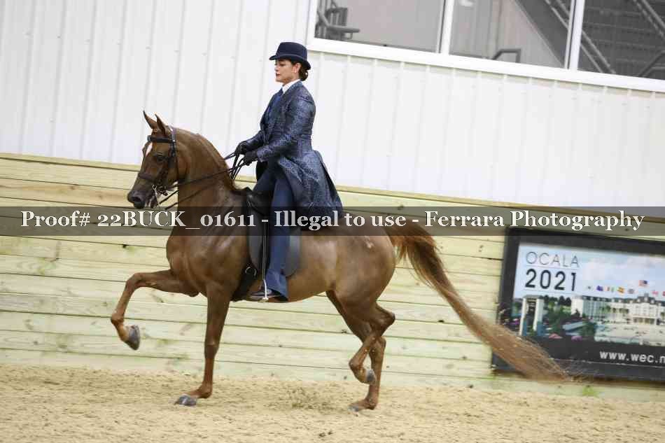 Proof 22BUCK_01611