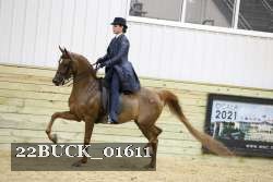 22BUCK_01611 proof