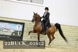 22BUCK_01612 proof