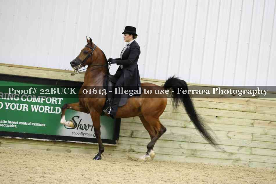 Proof 22BUCK_01613