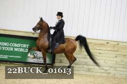22BUCK_01613 proof