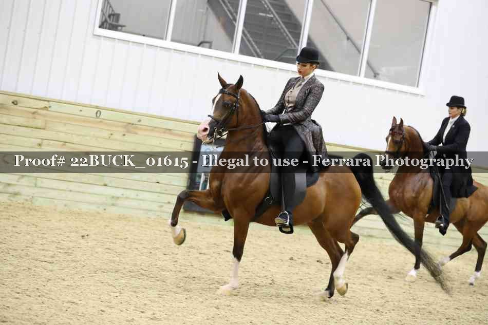 Proof 22BUCK_01615