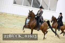 22BUCK_01615 proof