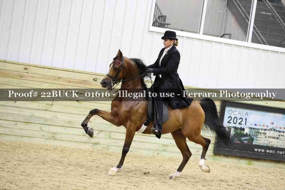 Proof 22BUCK_01616