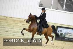 22BUCK_01616 proof