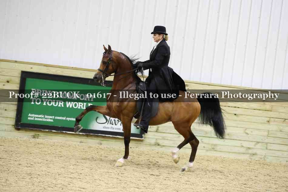 Proof 22BUCK_01617