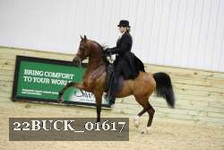22BUCK_01617 proof
