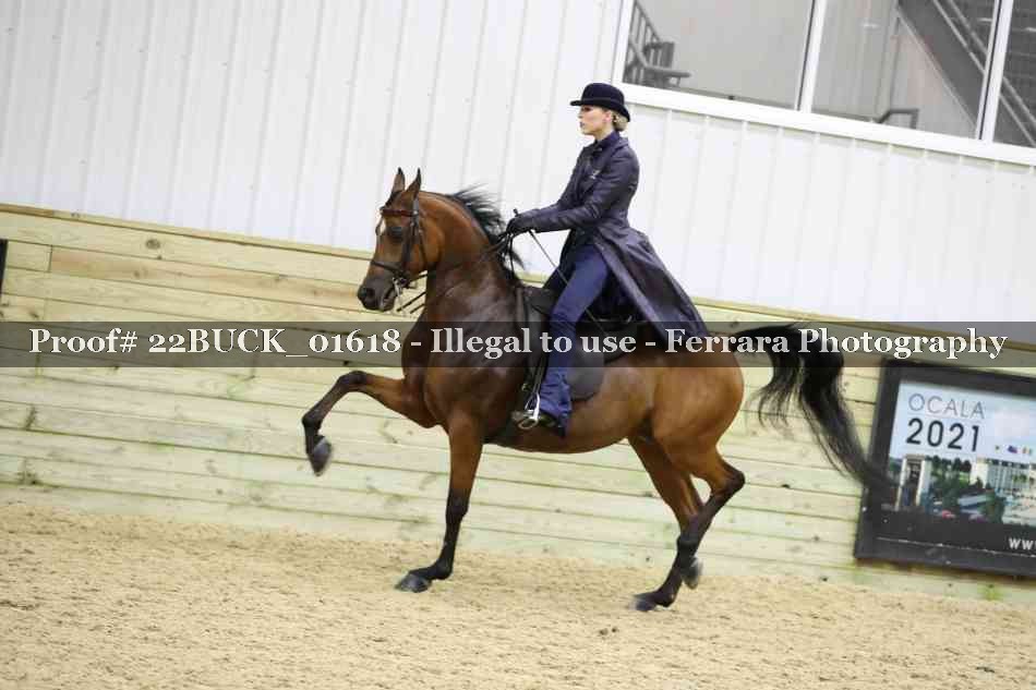 Proof 22BUCK_01618