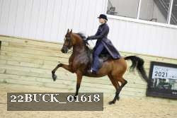 22BUCK_01618 proof
