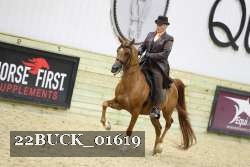 22BUCK_01619 proof
