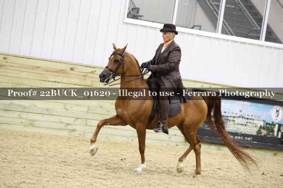 Proof 22BUCK_01620