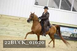 22BUCK_01620 proof