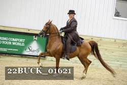 22BUCK_01621 proof