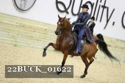 22BUCK_01622 proof