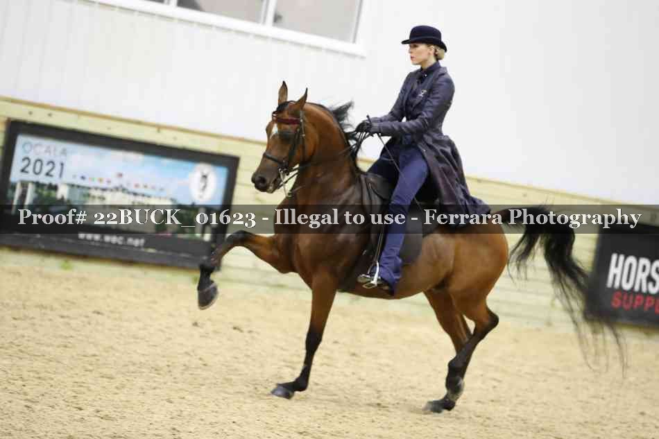 Proof 22BUCK_01623