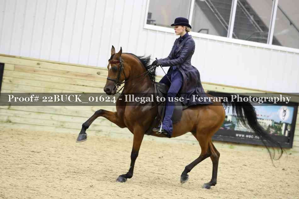 Proof 22BUCK_01624