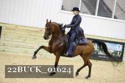 22BUCK_01624 proof