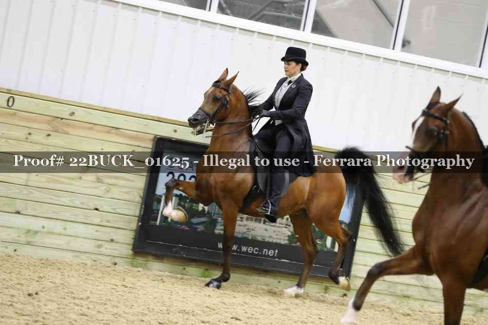 Proof 22BUCK_01625