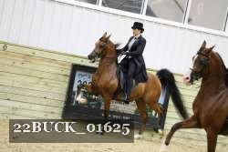 22BUCK_01625 proof
