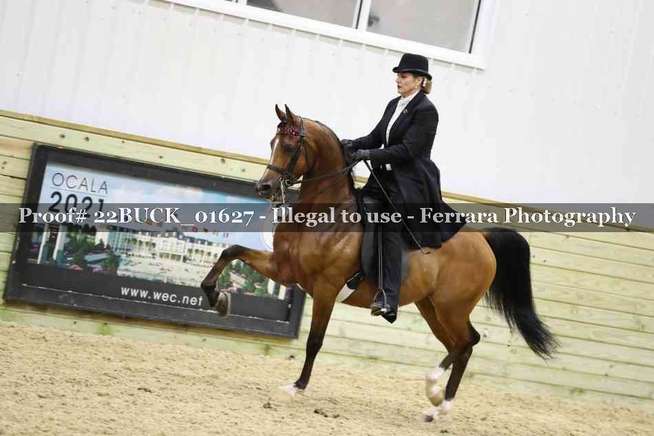 Proof 22BUCK_01627