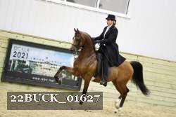 22BUCK_01627 proof