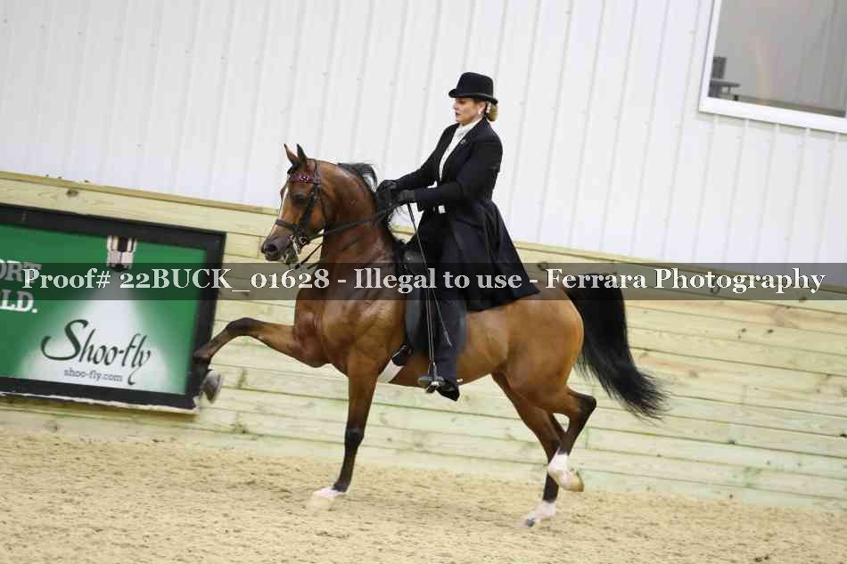 Proof 22BUCK_01628