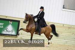 22BUCK_01628 proof