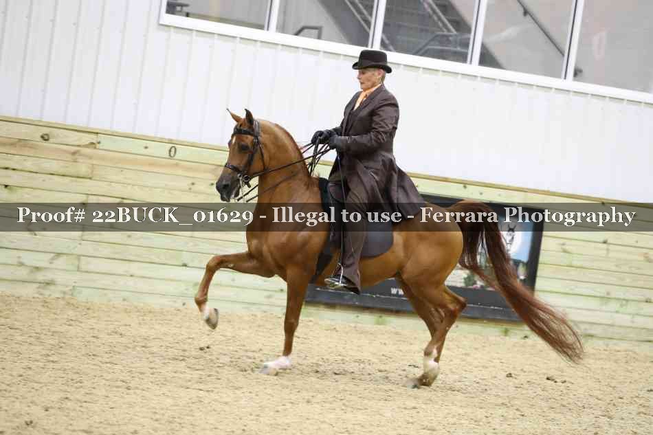 Proof 22BUCK_01629