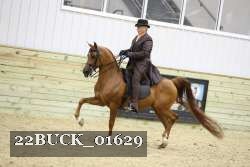 22BUCK_01629 proof