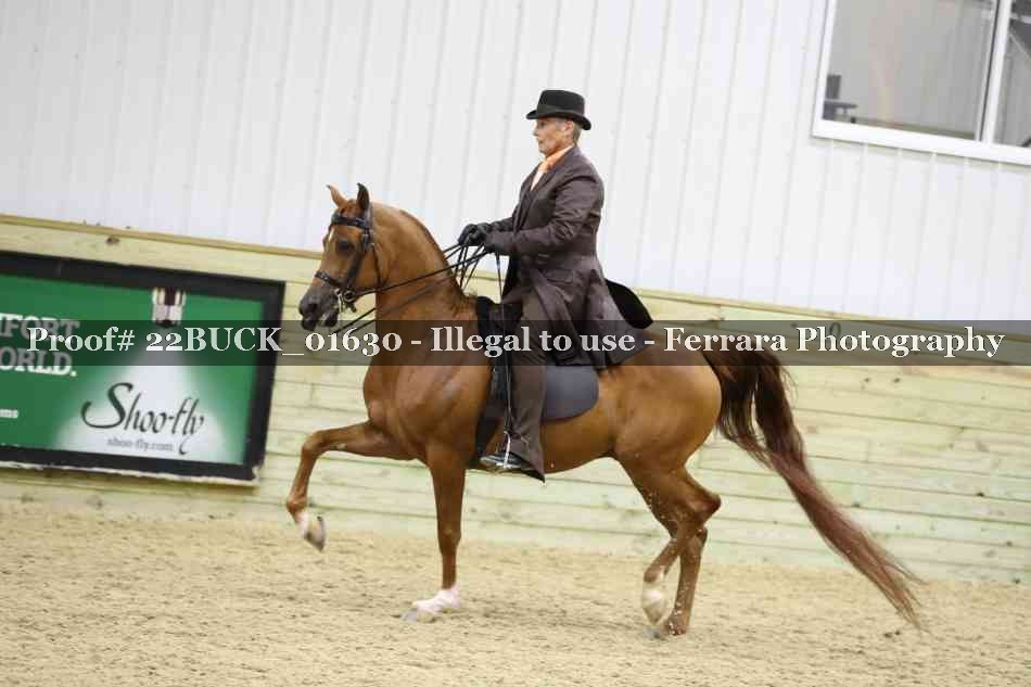 Proof 22BUCK_01630