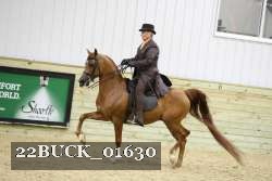 22BUCK_01630 proof
