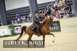 22BUCK_01631 proof
