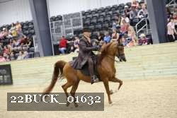 22BUCK_01632 proof