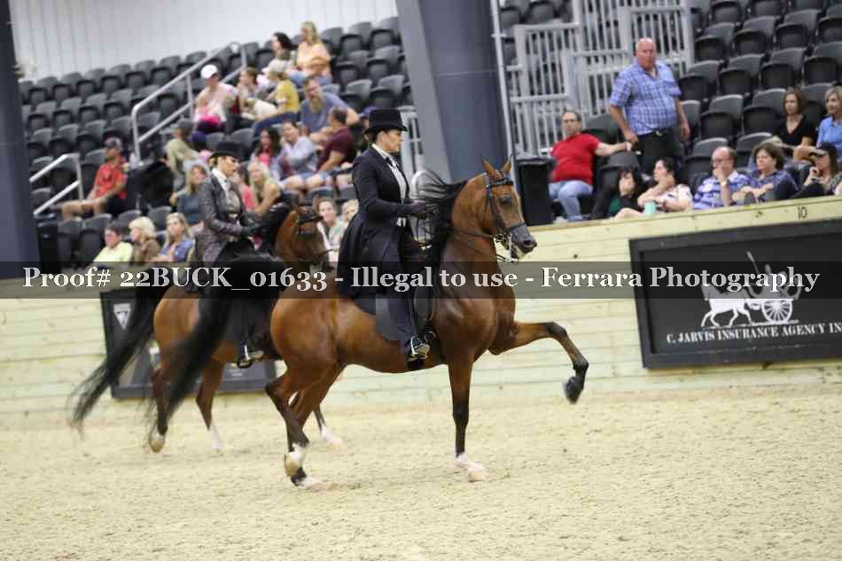 Proof 22BUCK_01633